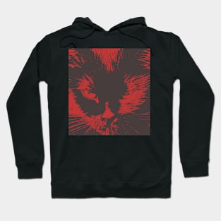 Abstract angry cat. The muzzle of a sullen cat close-up Hoodie